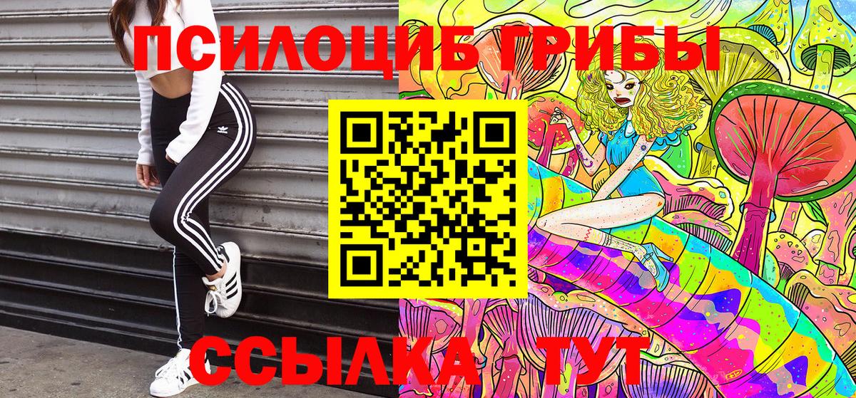 Галлюциногенные грибы мухоморы Тимашёвск