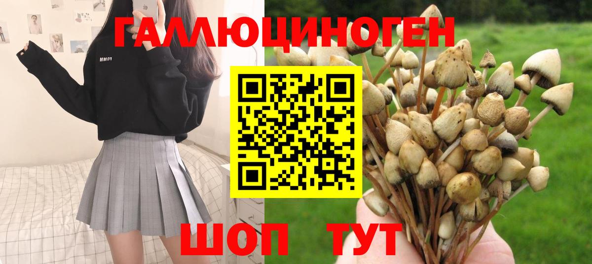 Тимашёвск  Псилоцибиновые грибы MAGIC MUSHROOMS  Вход с VPN 